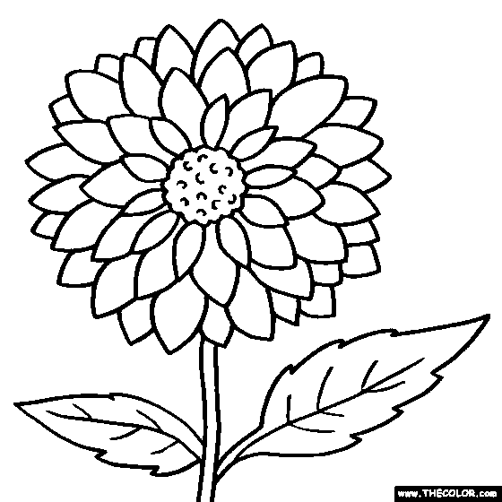 Flower coloring #20, Download drawings