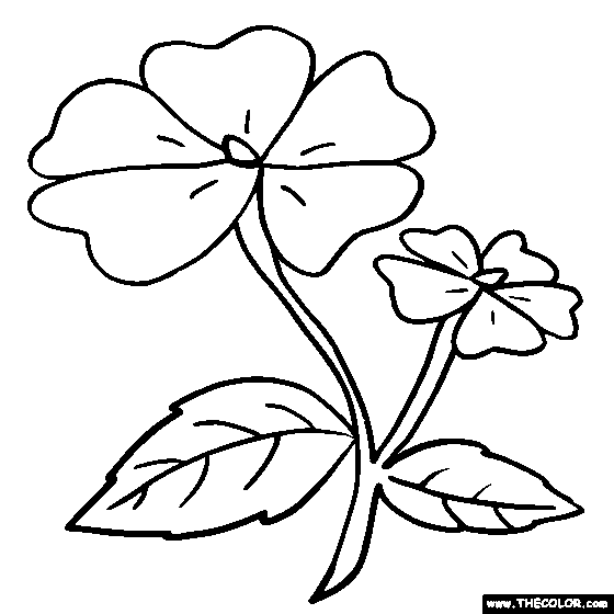 Flower coloring #3, Download drawings
