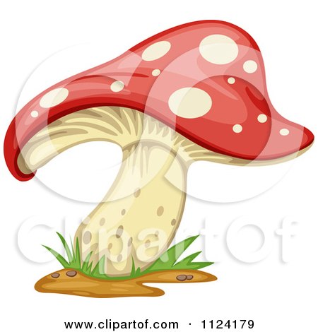 Fly Agaric clipart #11, Download drawings