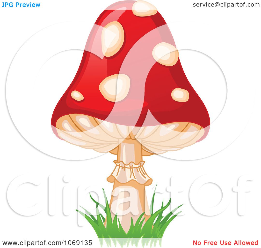 Fly Agaric clipart #18, Download drawings