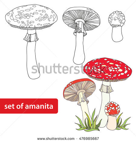 Fly Agaric coloring #11, Download drawings