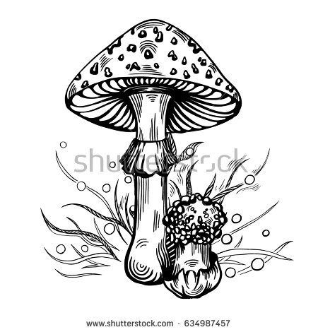Fly Agaric coloring #15, Download drawings