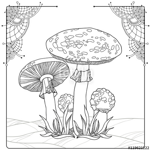 Fly Agaric coloring #5, Download drawings