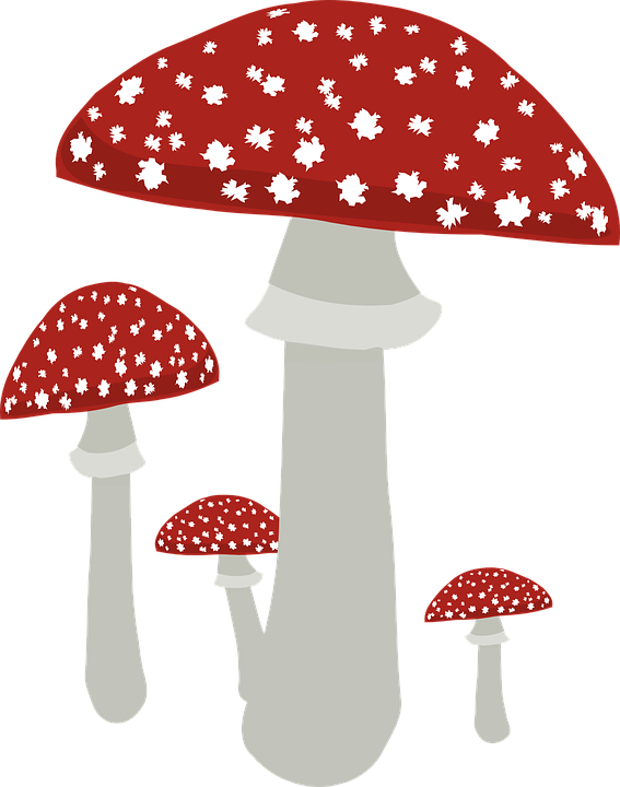 Fly Agaric svg #5, Download drawings