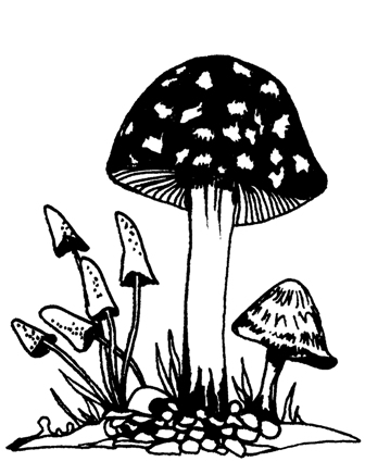 Fly Agaric svg #14, Download drawings