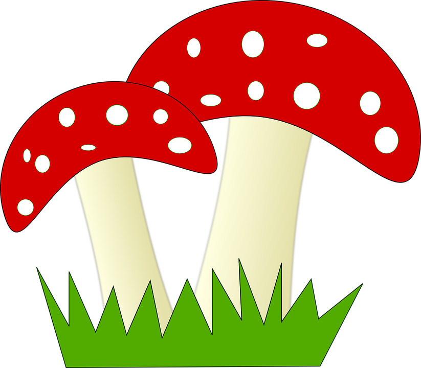 Fly Agaric svg #2, Download drawings