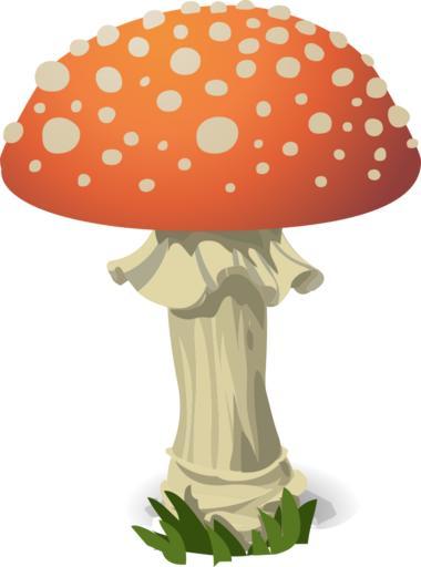 Fly Agaric svg #19, Download drawings
