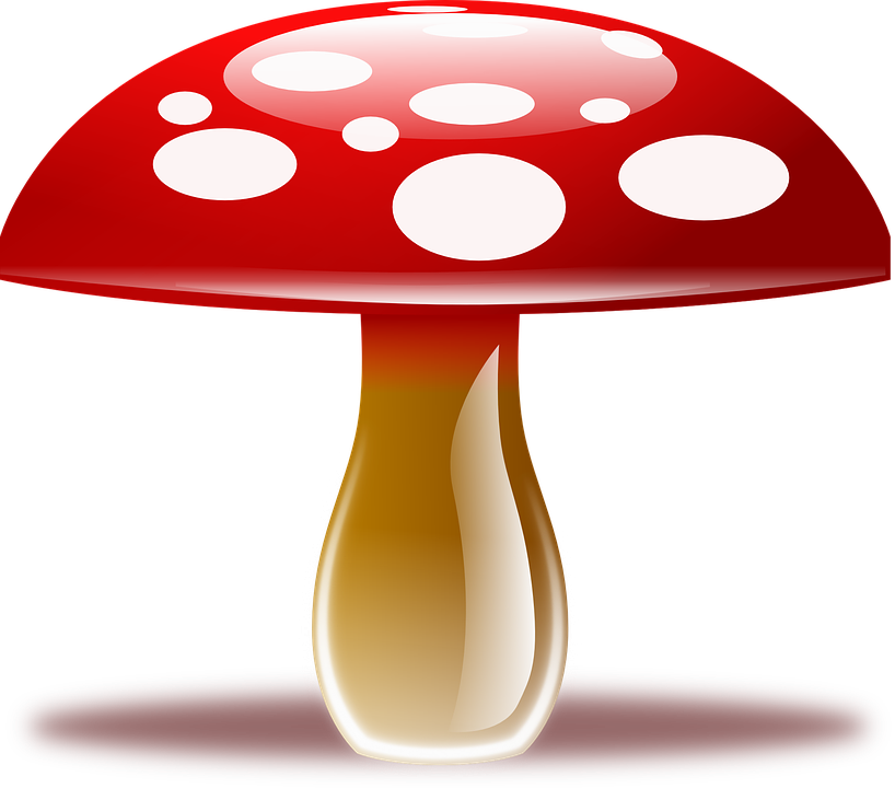Fly Agaric svg #6, Download drawings
