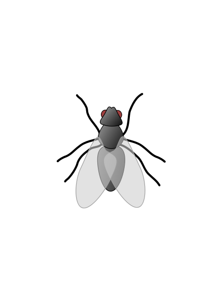 Fly clipart #1, Download drawings