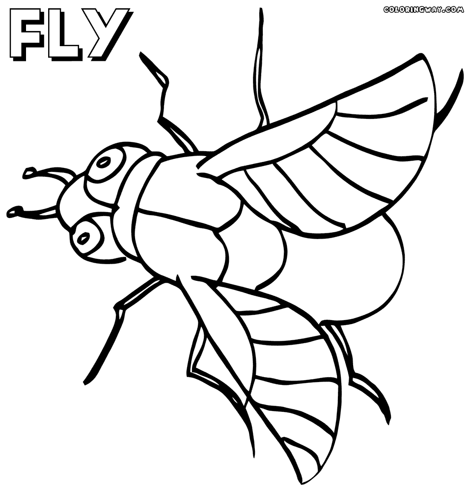 Fly coloring #16, Download drawings