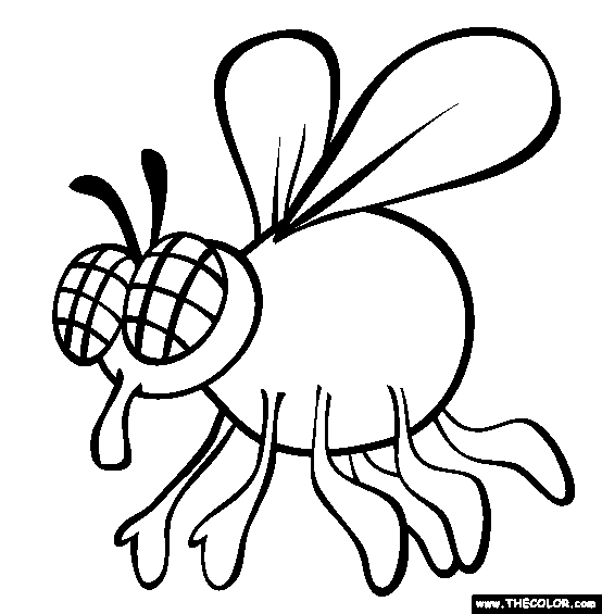 Fly coloring #20, Download drawings