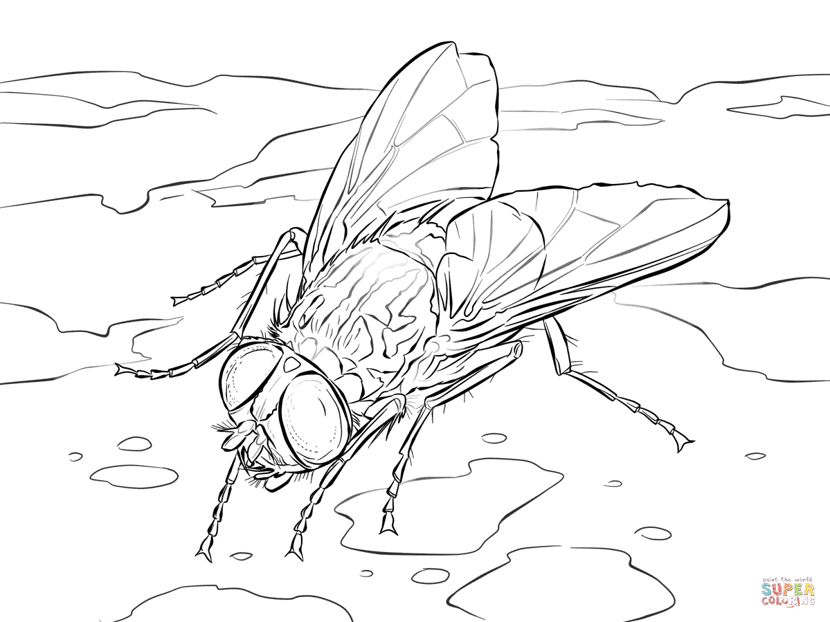 Horse-fly coloring #15, Download drawings