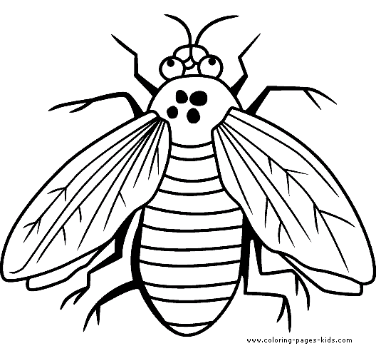 Fly coloring #8, Download drawings