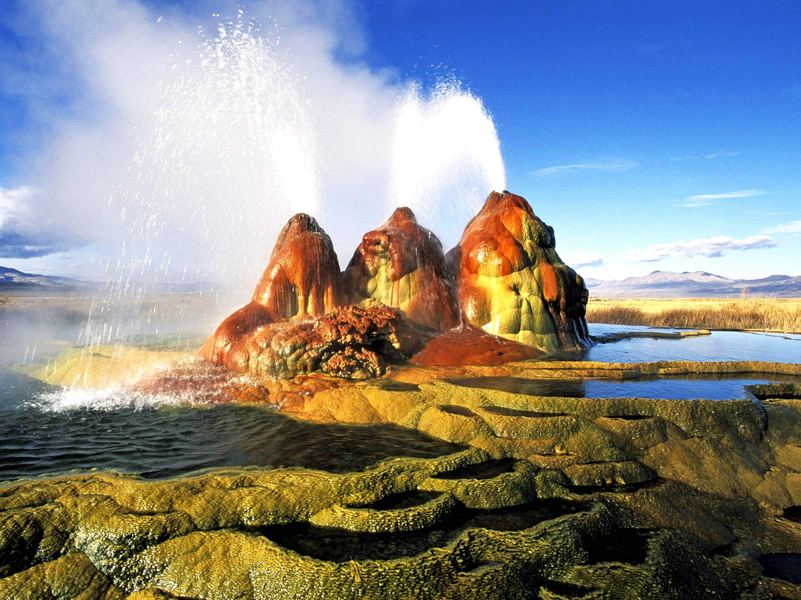 Fly Geyser coloring #15, Download drawings