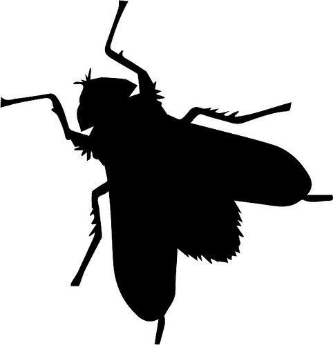 Fly svg #20, Download drawings