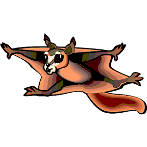 Flying Squirrel clipart #20, Download drawings