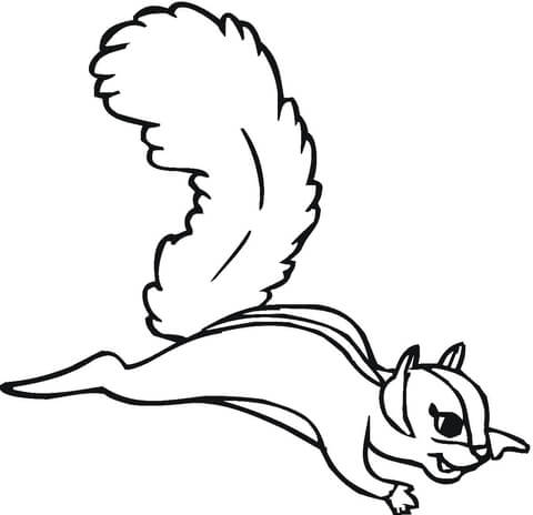 Flying Squirrel clipart #16, Download drawings