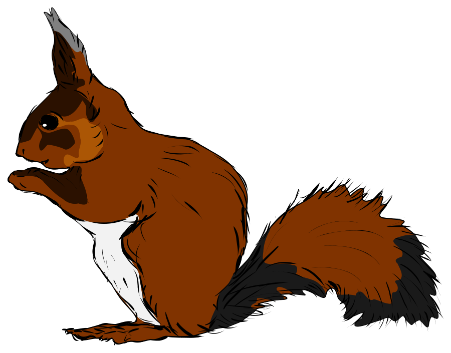 Red Squirrel svg #16, Download drawings