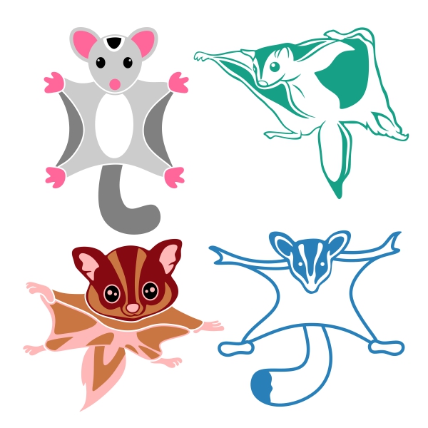 Flying Squirrel svg #12, Download drawings