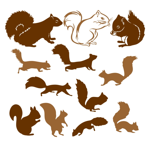 Flying Squirrel svg #3, Download drawings