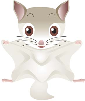 Flying Squirrel svg #7, Download drawings
