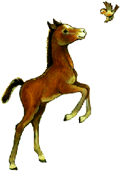 Foal clipart #5, Download drawings