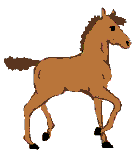 Foal clipart #20, Download drawings
