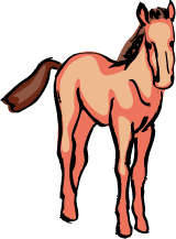 Foal clipart #18, Download drawings