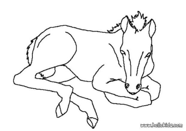 Foal coloring #1, Download drawings