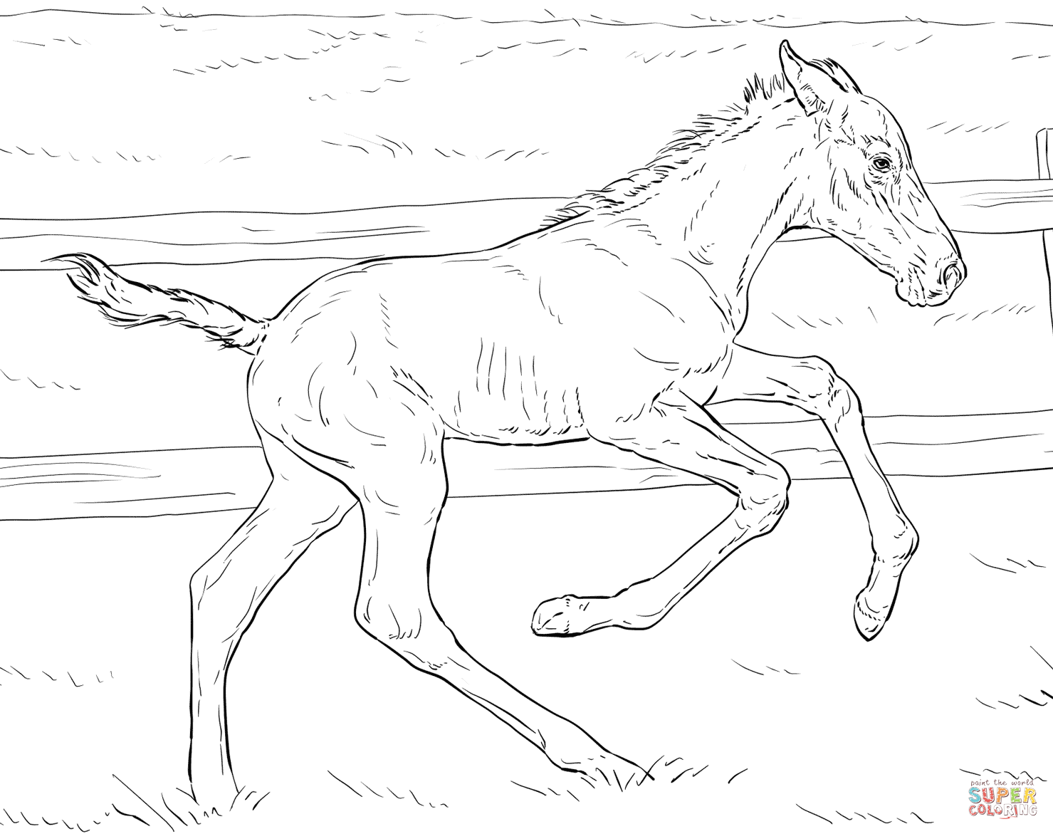 Foal coloring #13, Download drawings