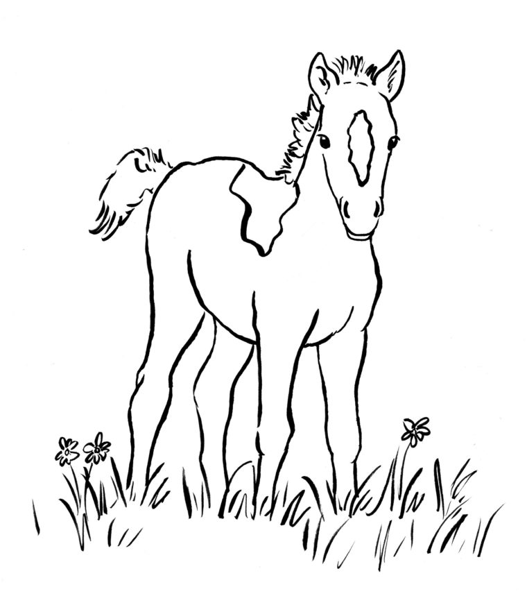 Foal coloring #19, Download drawings
