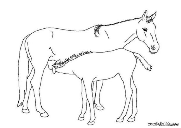 Foal coloring #16, Download drawings