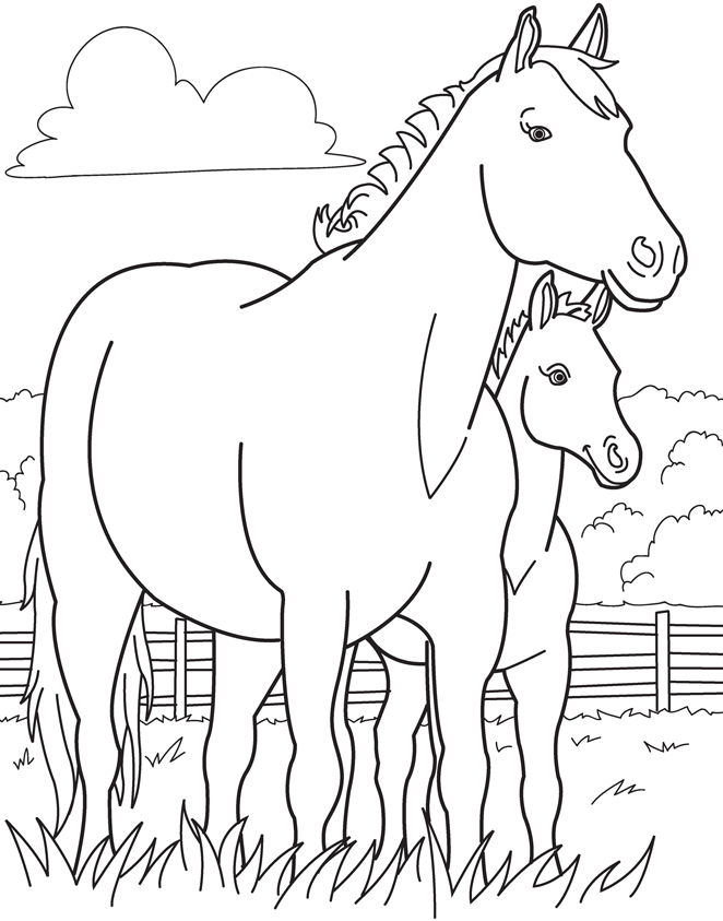 Foal coloring #12, Download drawings