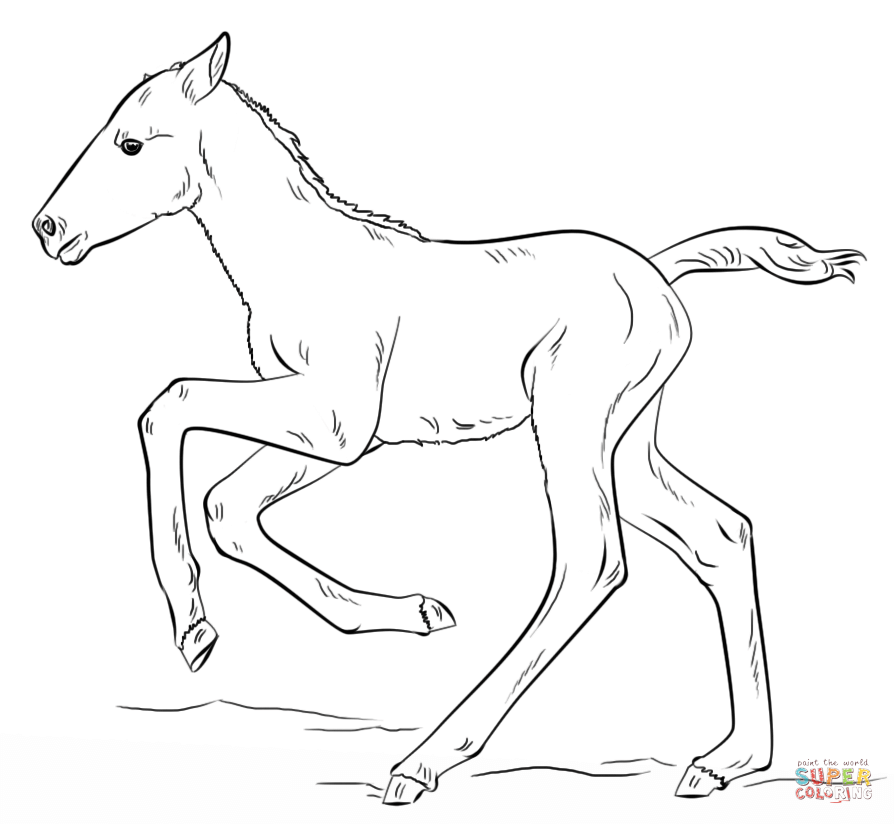 Foal coloring #7, Download drawings