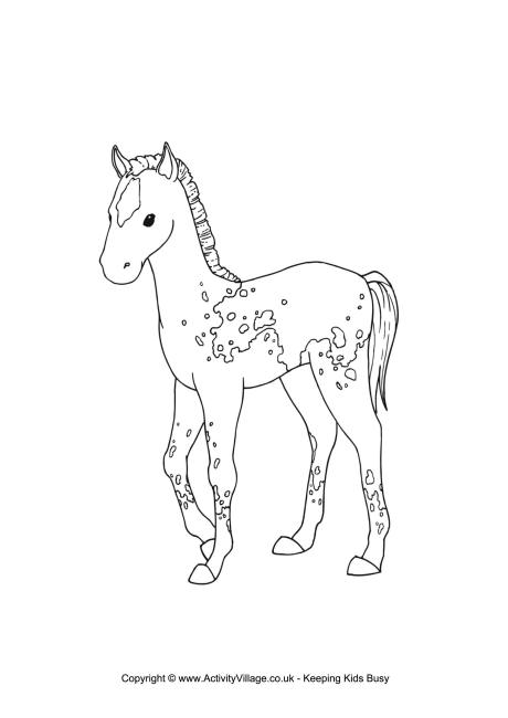 Foal coloring #5, Download drawings