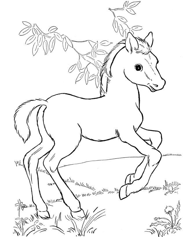 Pasture coloring #9, Download drawings