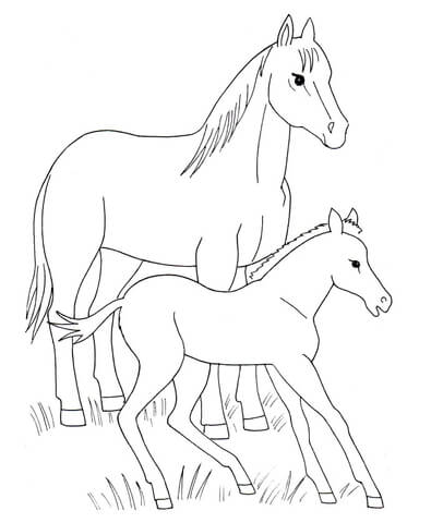 Foal coloring #8, Download drawings