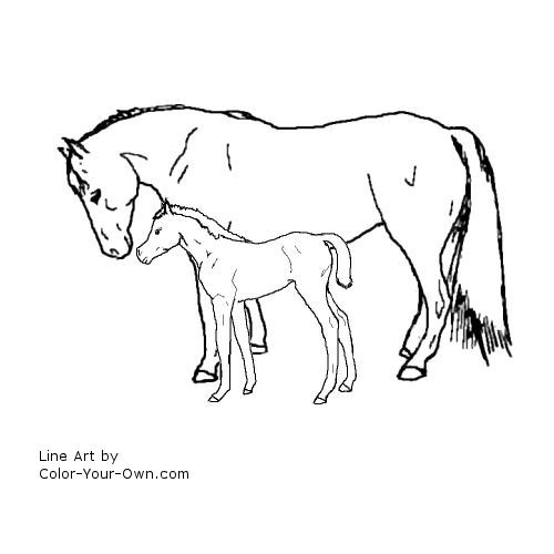 Foal coloring #3, Download drawings