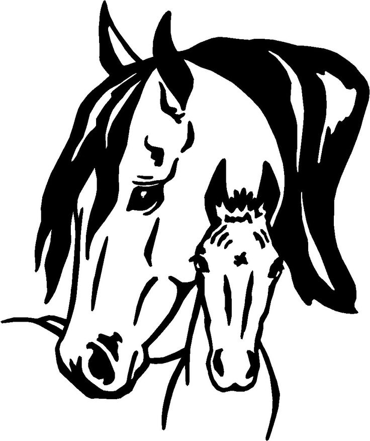 Foal svg #6, Download drawings