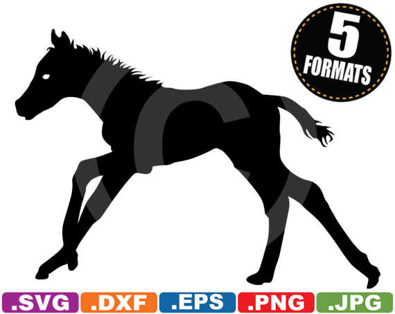 Foal svg #14, Download drawings