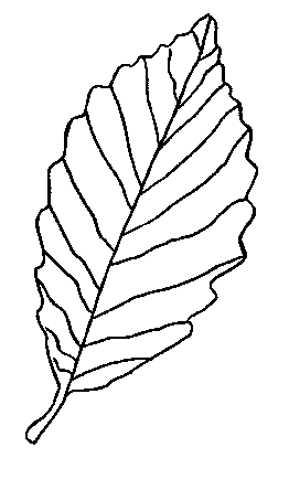 Foliage coloring #1, Download drawings