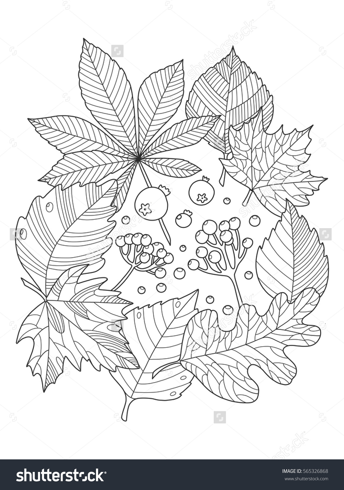 Foliage coloring #18, Download drawings