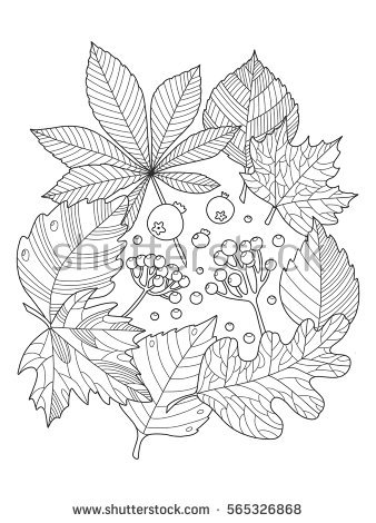 Foliage coloring #14, Download drawings