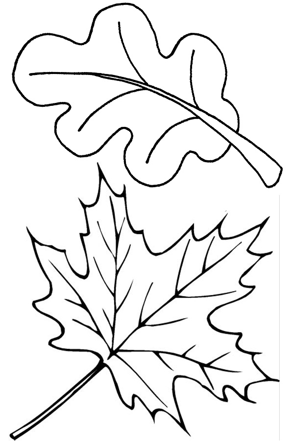 Foliage coloring #16, Download drawings