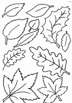 Foliage coloring #11, Download drawings