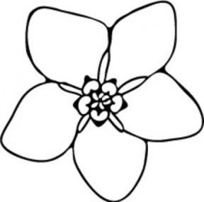 Forget-Me-Not clipart #4, Download drawings