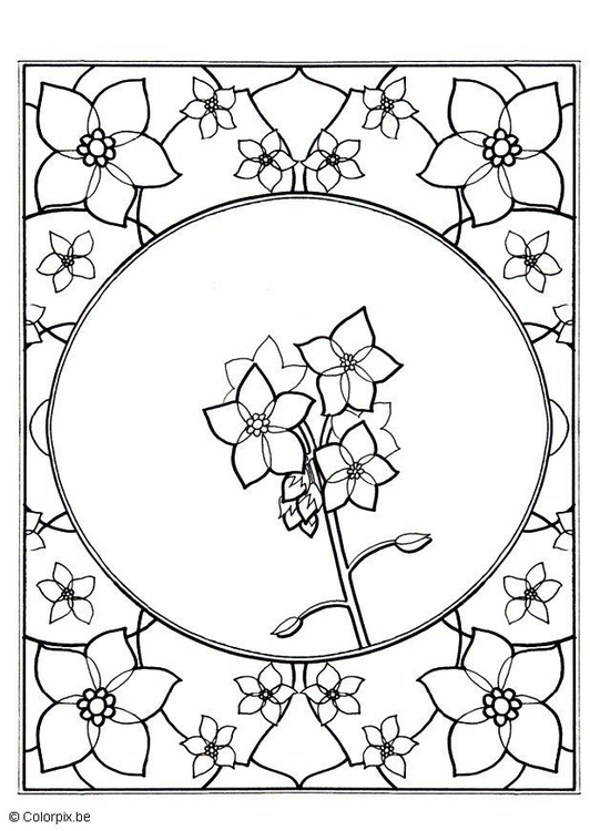 Forget-Me-Not coloring #3, Download drawings