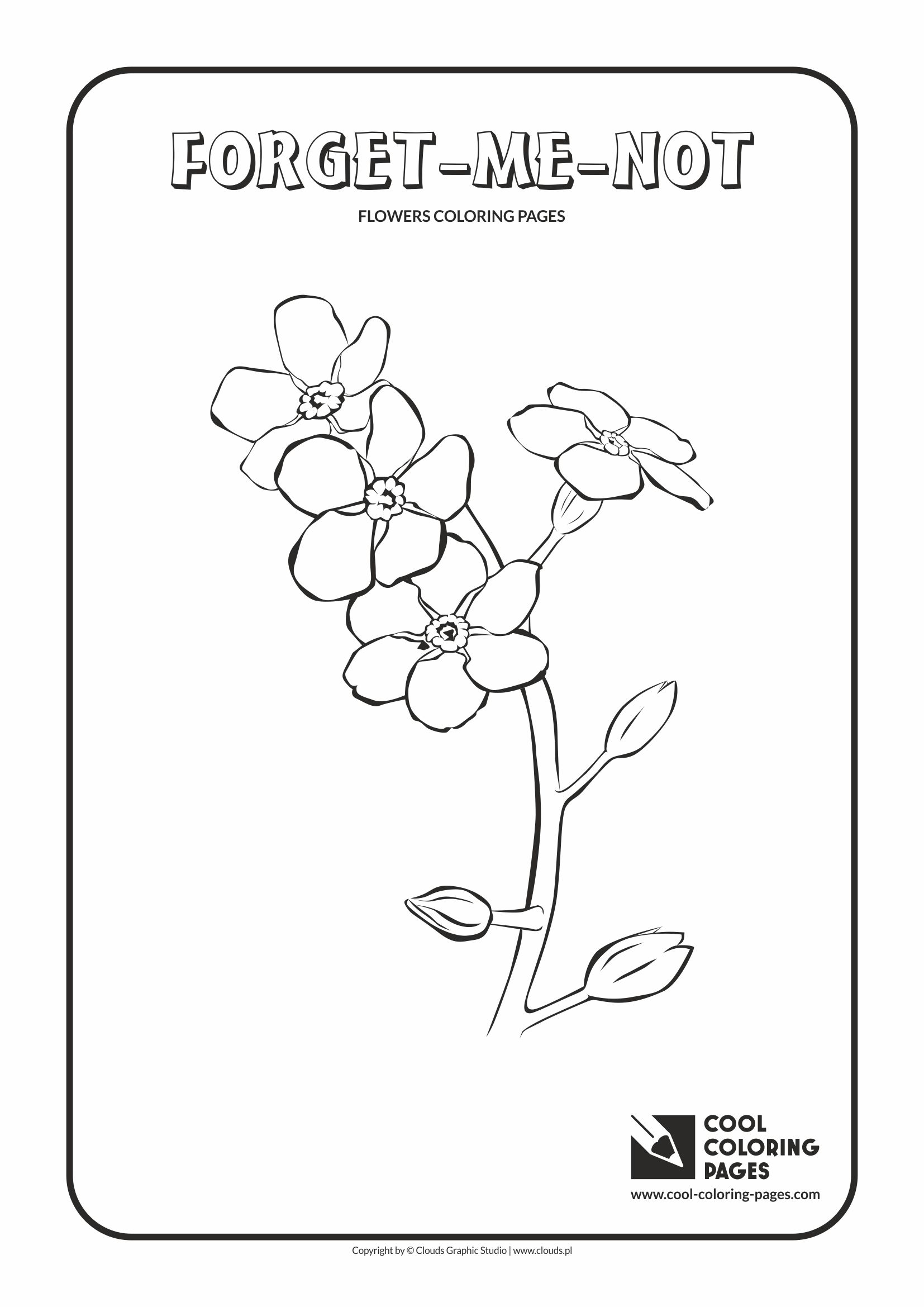 Forget-Me-Not coloring #9, Download drawings