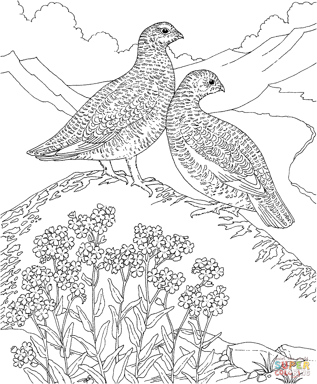 Forget-Me-Not coloring #5, Download drawings