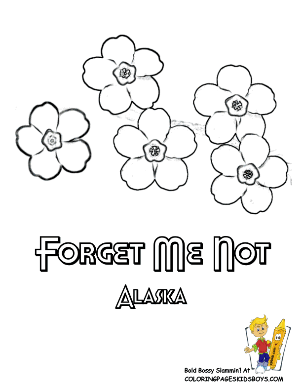 Forget-Me-Not coloring #19, Download drawings